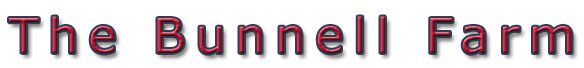 home_title1.jpg
